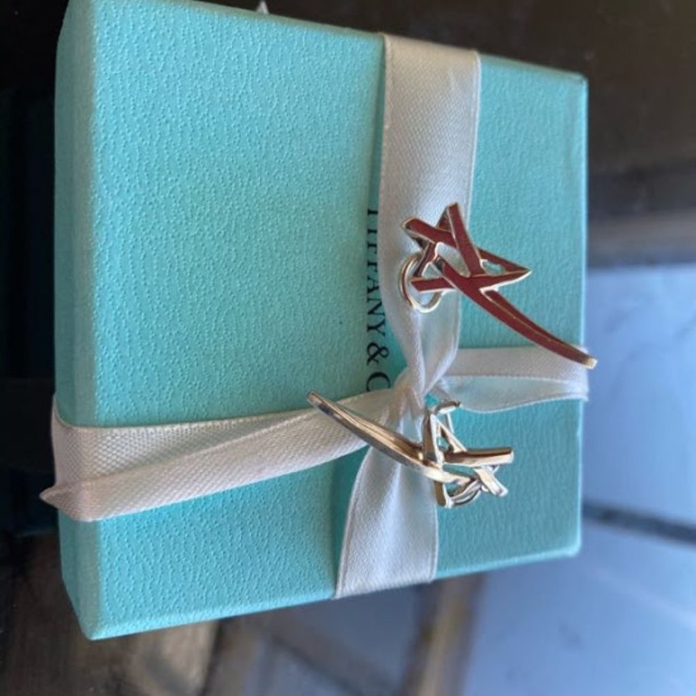 Tiffany & Co. Silver Airplane Drop Earrings on Tiffany Blue Box
